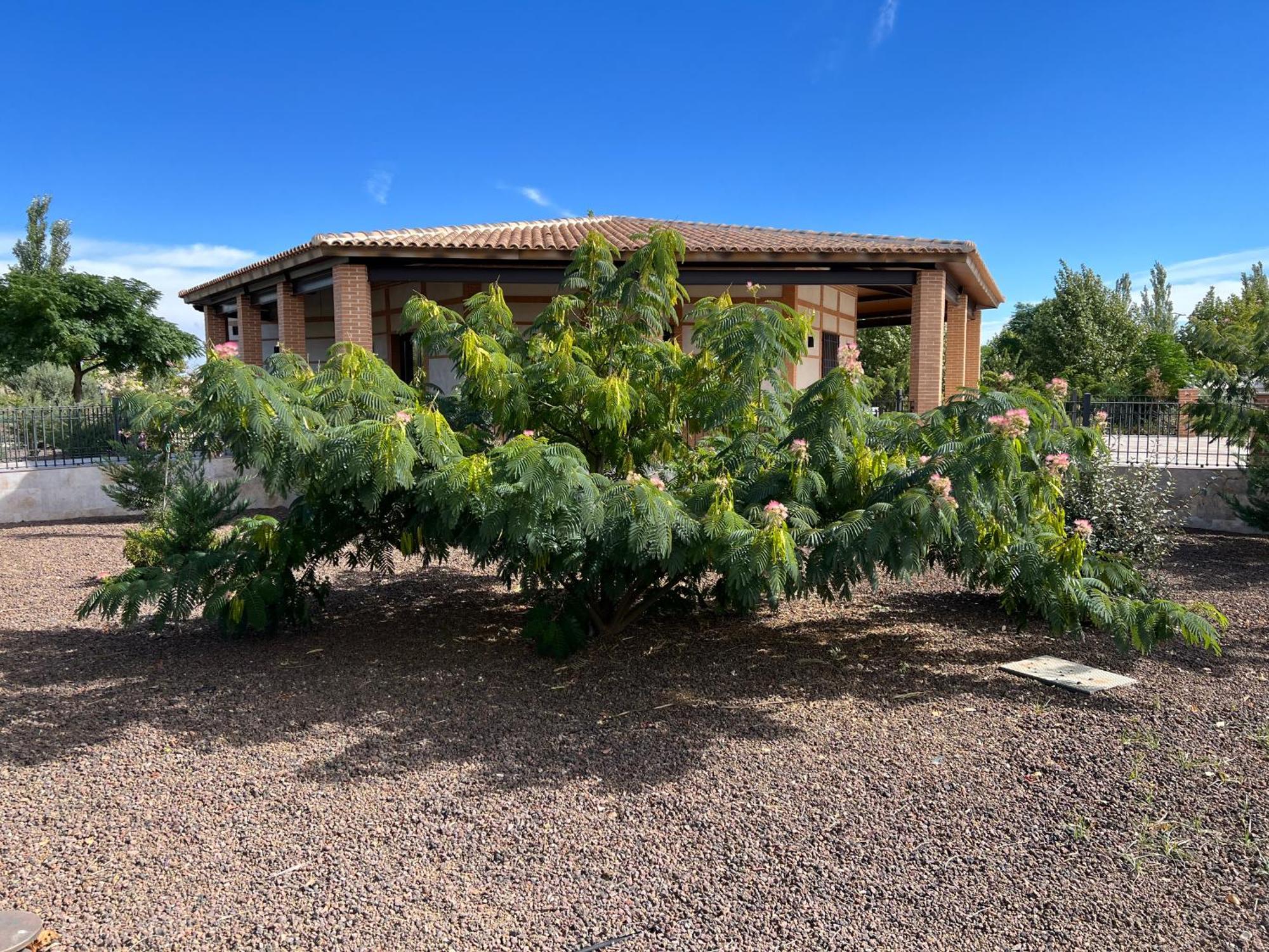 Finca Alarcos Valverde  エクステリア 写真
